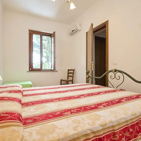 Antichi Palmenti - Ginepro * San Vincenzo
