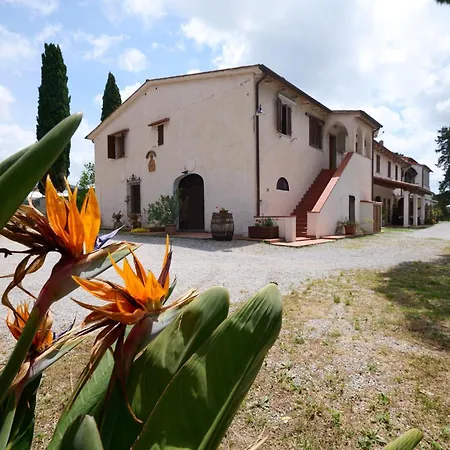 Antichi Palmenti - Ginepro San Vincenzo