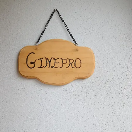 Antichi Palmenti - Ginepro