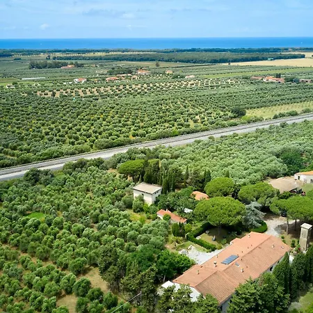 Antichi Palmenti - Ginepro *